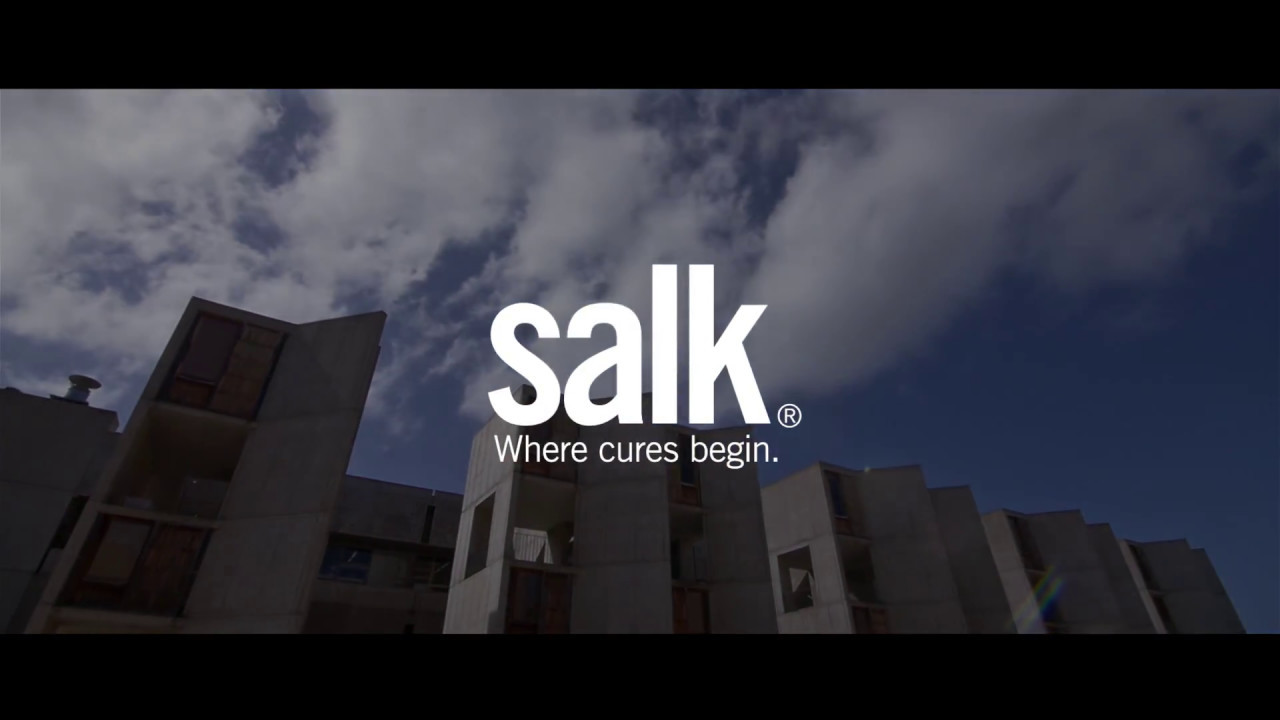 Salk architecture - introduction
