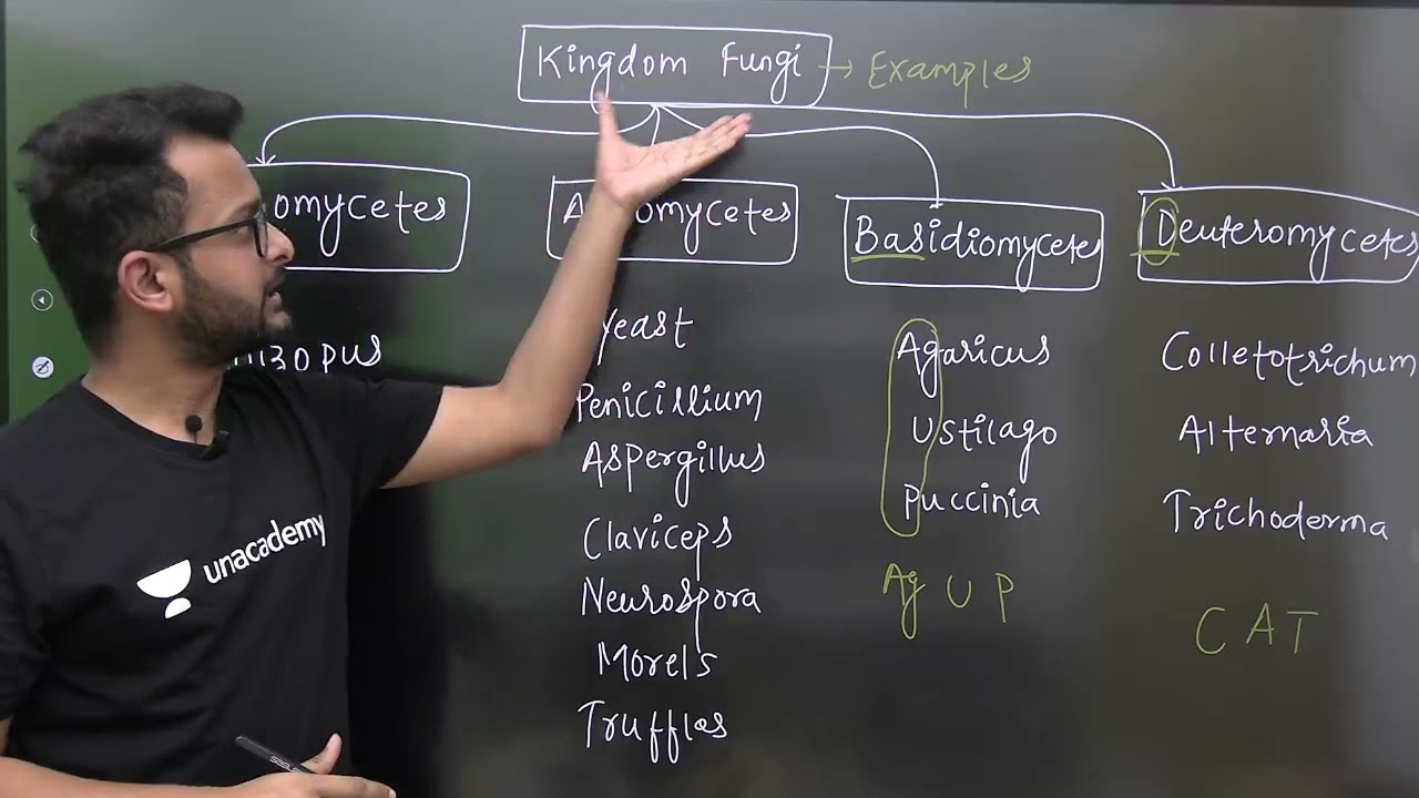 NEET Capsule Series Trick 03 | Kingdom Fungi Examples | NCERT | #shorts