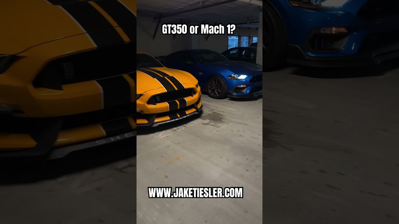 GT350 Vs Mach 1