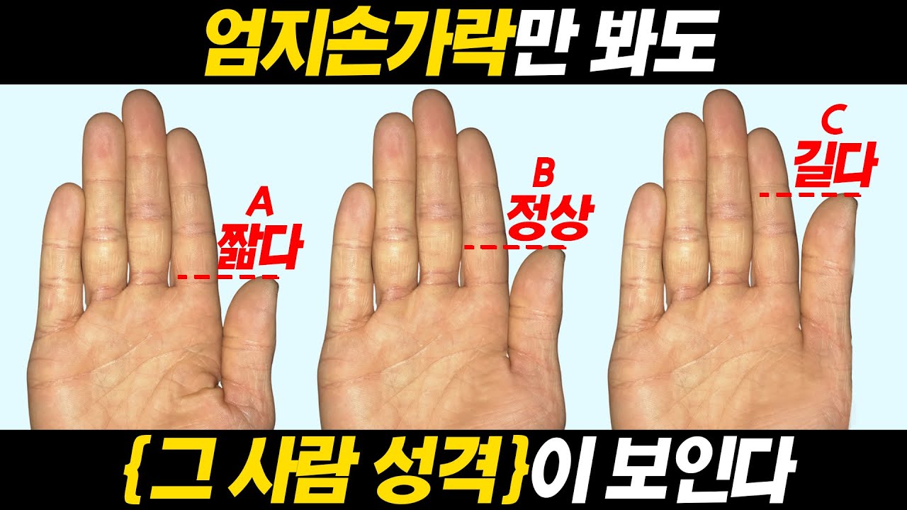 이것만 보면 그 사람 성격을 일 수 있다 #손금보는법