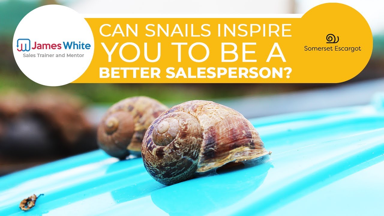 Why SNAILS can inspire you to become better at selling!