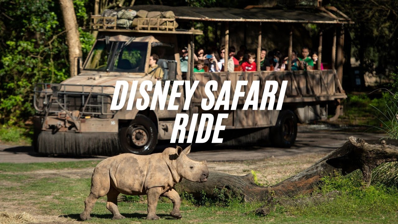 Disney Safari Ride - Kilimanjaro Adventure at Animal Kingdom!