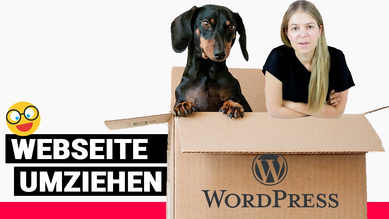 WordPress Webseite umziehen✌️😀 einfaches Duplicator WordPress Tutorial