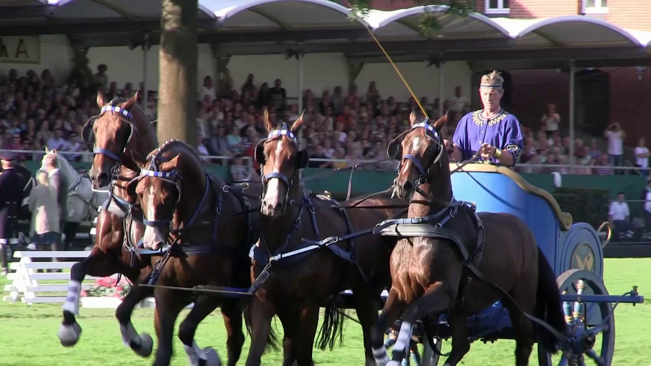 Landgestüt Celle - Römerwagen 2016