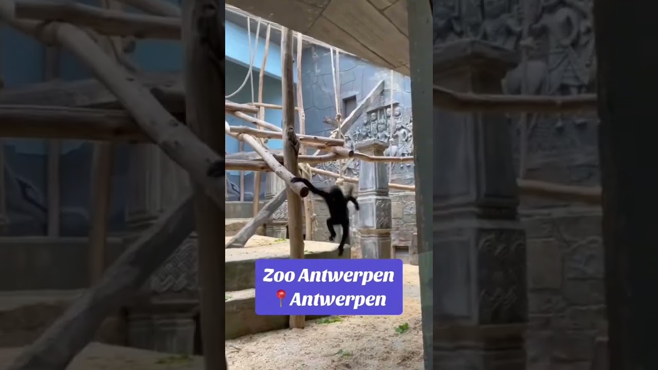 Op deze aanbieding van Kruidvat is Freek Vonk zeker jaloers! 👀