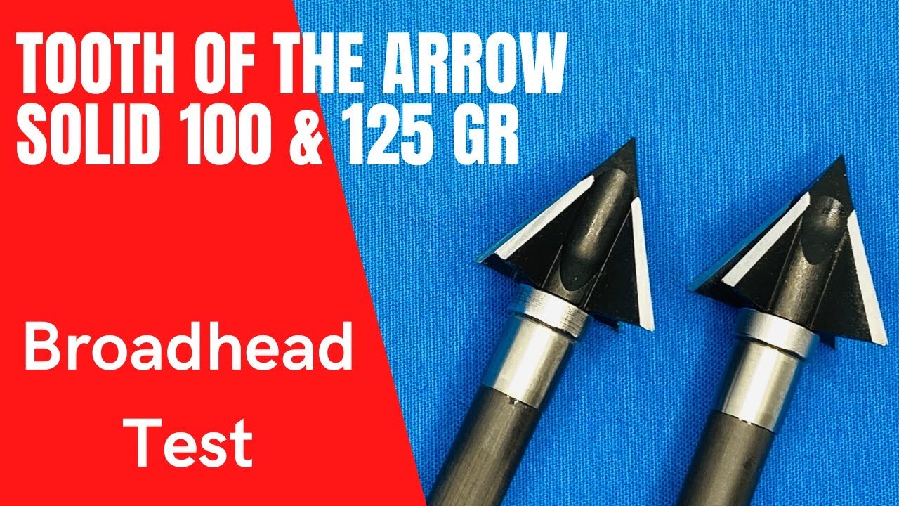 TOOTH of the ARROW 1