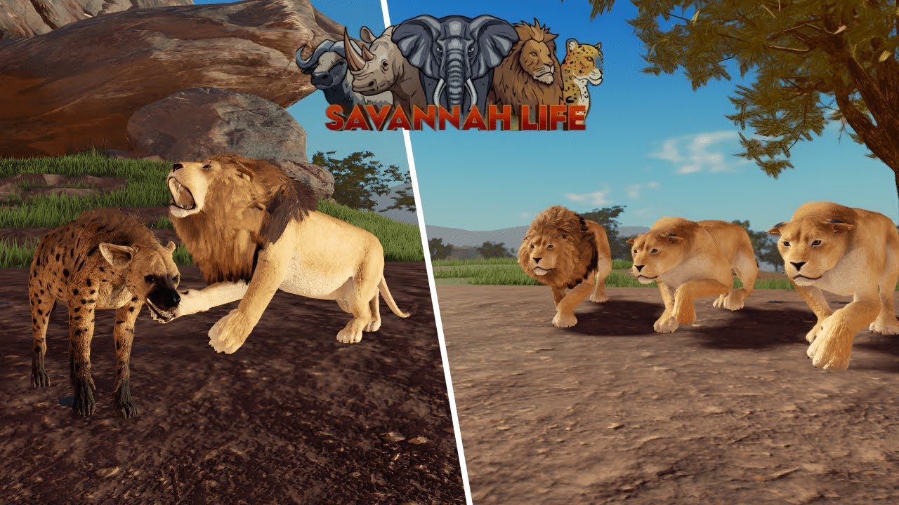 Lion Hunting Everyone in Savannah Life ⏐ ROBLOX 🦁