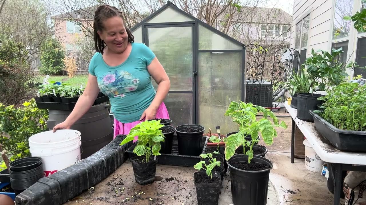 Repot ME PLEASE…PEPPERS 🫑 & MORE 😁