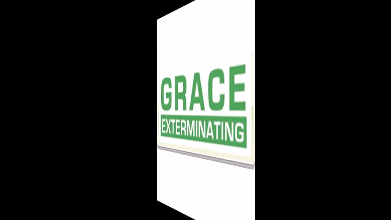 Exterminating Service in Northeast Ohio - Grace Exterminating