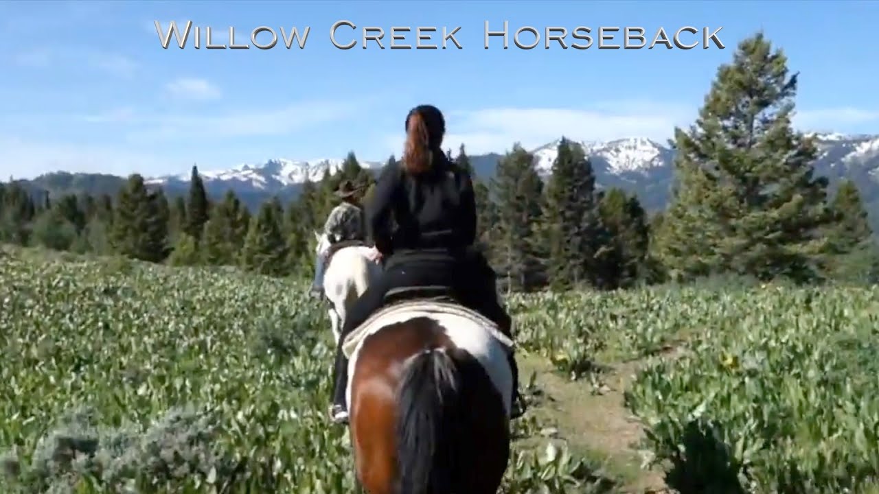 Willow Creek Horseback Riding | Jackson Hole, Wyoming