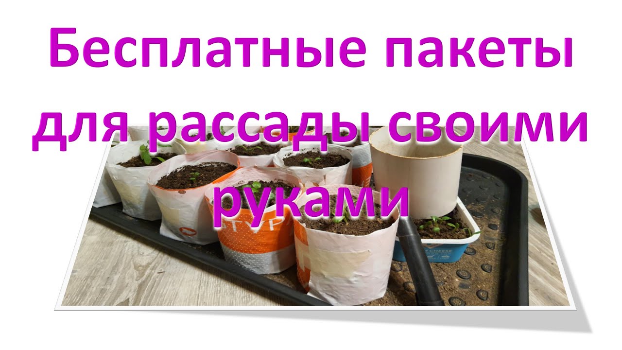 #Пакеты для #рассады #своими #руками почти #бесплатно
