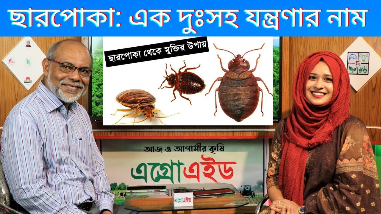 ছারপোকা : এক দুঃসহ যন্ত্রণা ! ছারপোকার জ্বালায় অস্থির? #Agroaid কৃষি চ্যানেল | Krishi TV | কৃষি টিভি