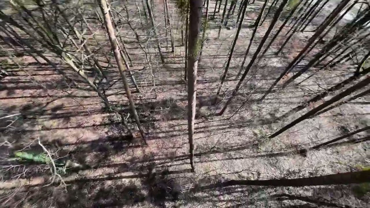 DJI Avata2 и DJI mini4 pro свежие весенние полеты :) тем кому интерес на разница