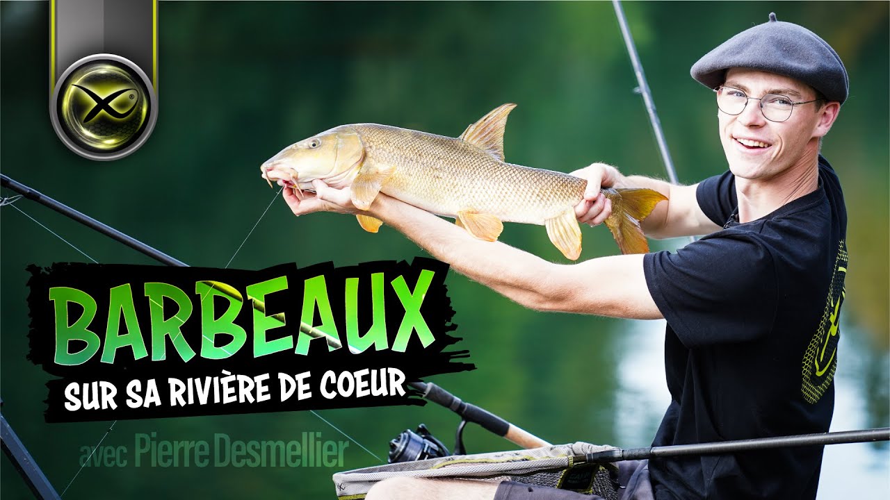 Barbeaux au feeder en rivière avec Pierre Desmellier - MATRIX FISHING TV FRANCE #pêche #matrix