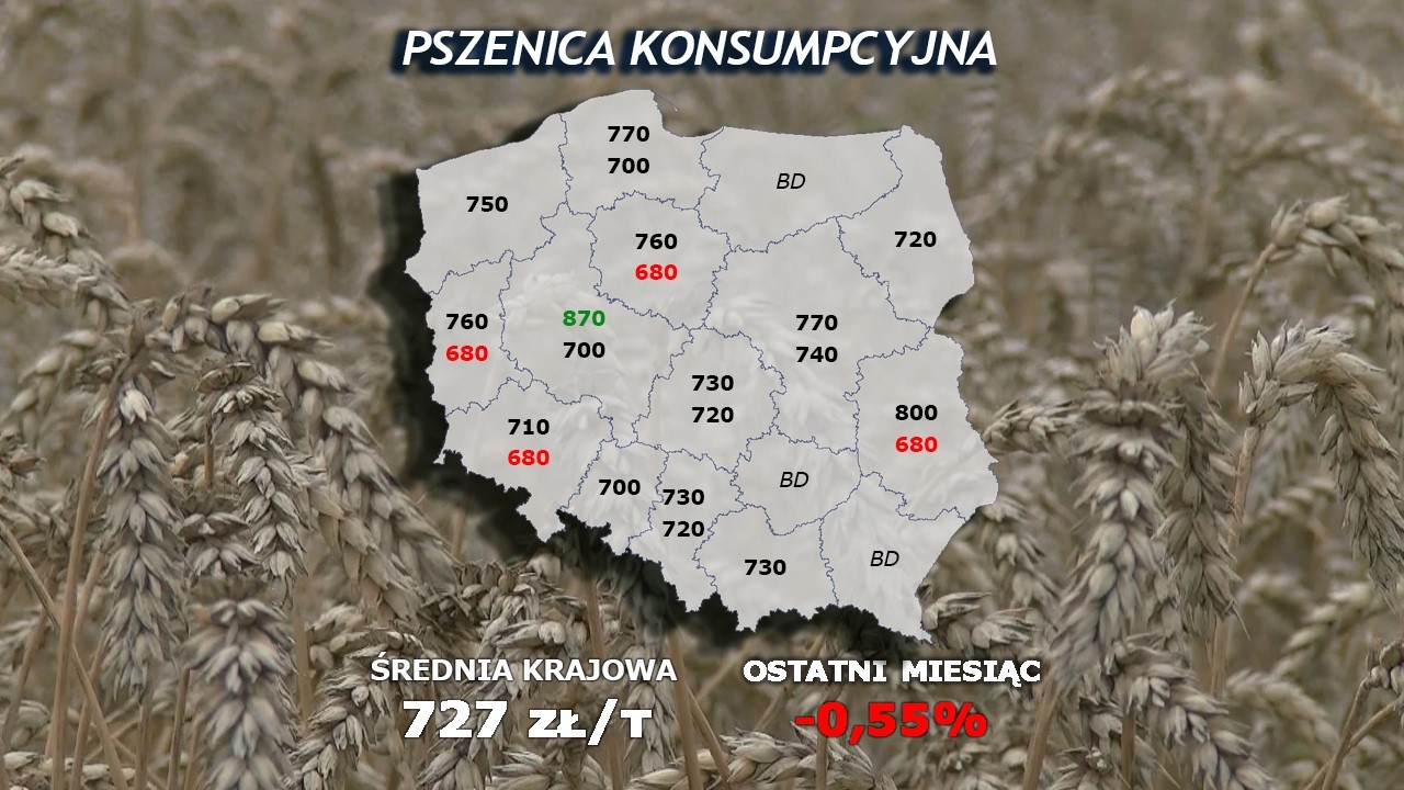 #322 agro wiadomości nonstop - 10.02.2026