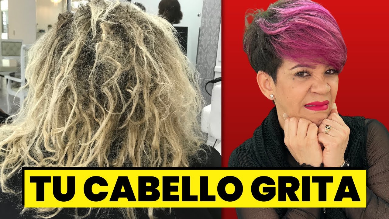 Cómo HIDRATAR y REPARAR el CABELLO Reseco y Maltratado