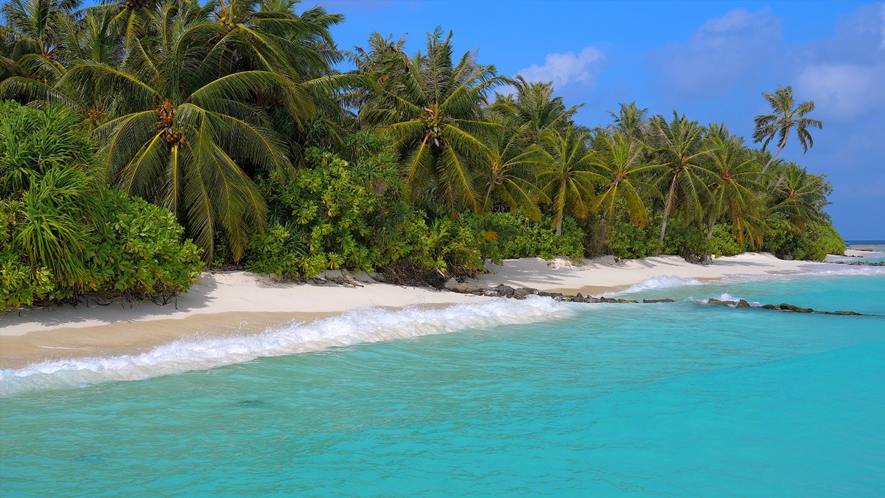 Fall Asleep In 5 Minutes With Ocean Sounds. Ocean Waves on a Tropical Island in Maldives