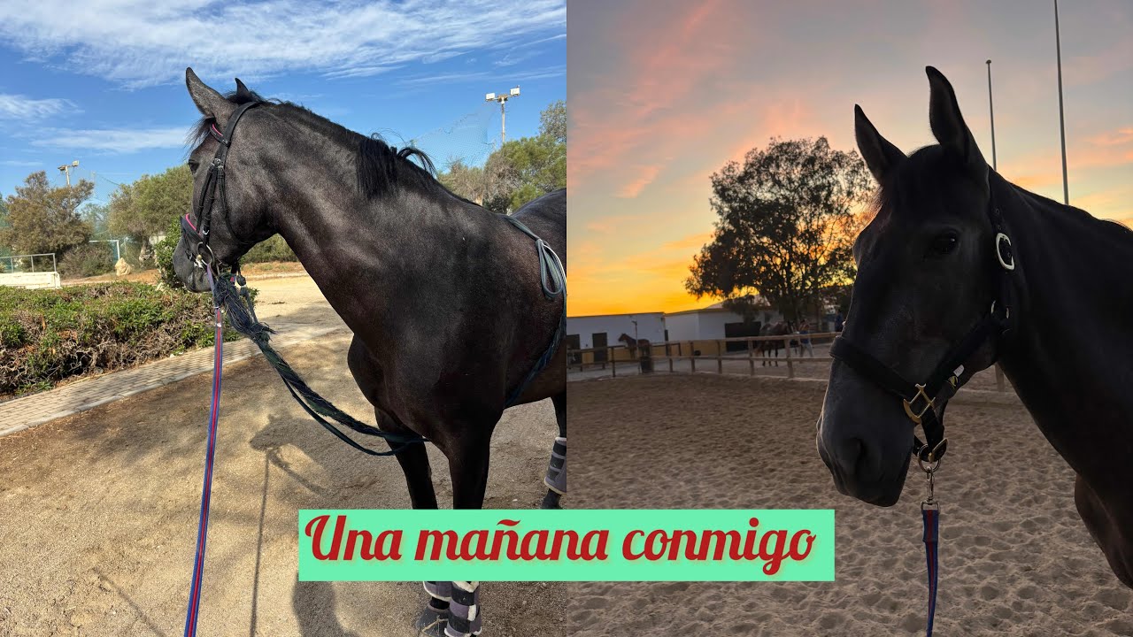 Una mañana conmigo || Seguimos entrenando 🍀