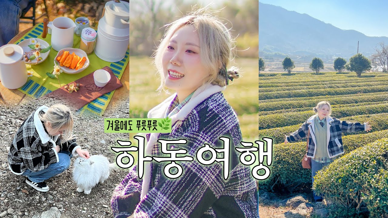 겨울에도 푸릇푸릇한 하동 여행🌿 녹차밭 피크닉, 감성찻집, 고양이 천국, 힐링뷰스팟, 숙소추천