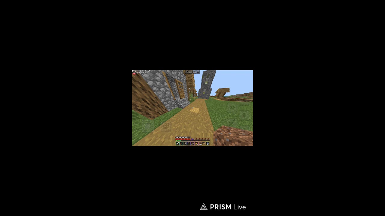 my first day in Minecraft world     #2