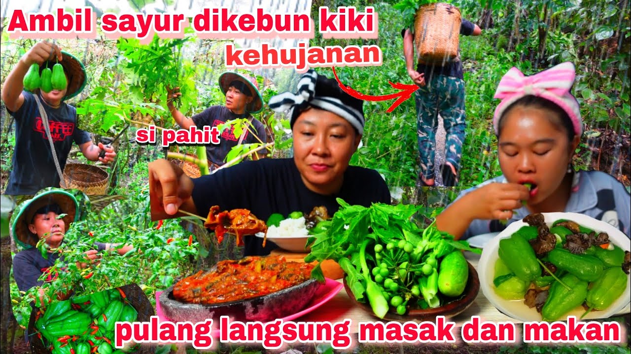 AMBIL SAYUR DIKEBUN KIKI, PULANG LANGSUNG MASAK DAN MAKAN