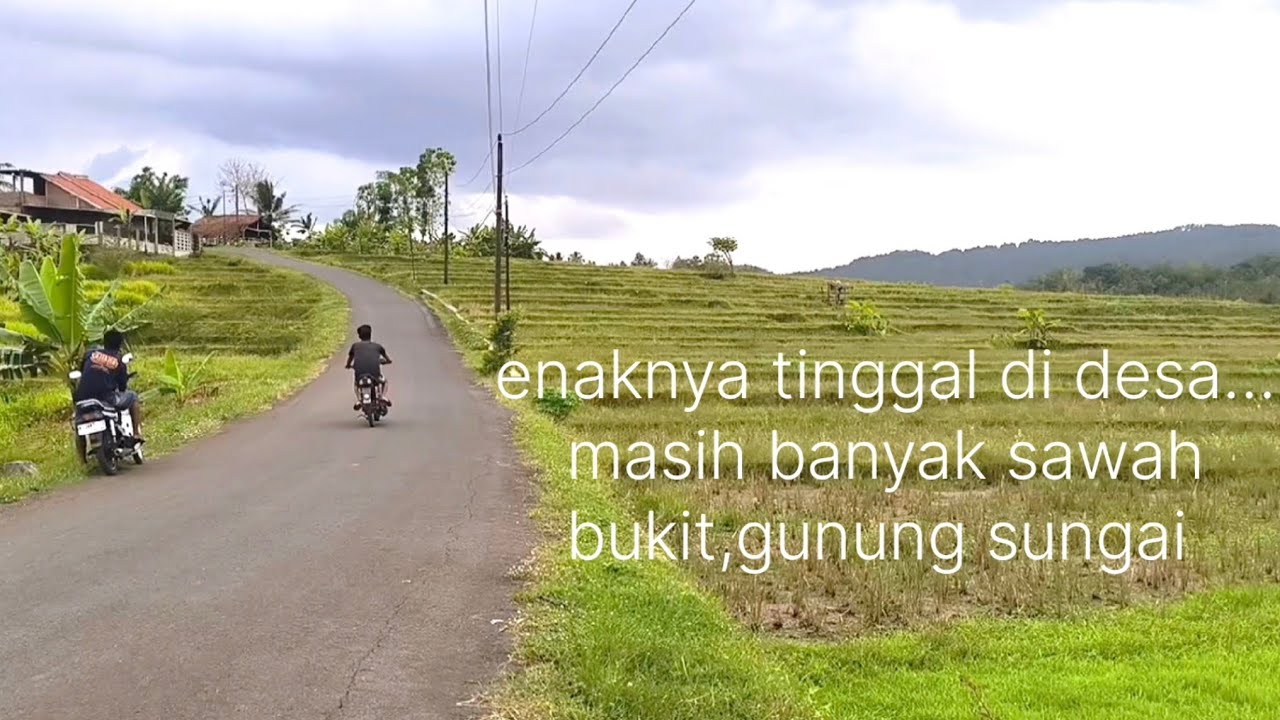 ENAKNYA TINGGAL DI DESA..UDARANYA SEJUK DAN SEGER....BANYAK PEMANDANGAN INDAH JUGA...