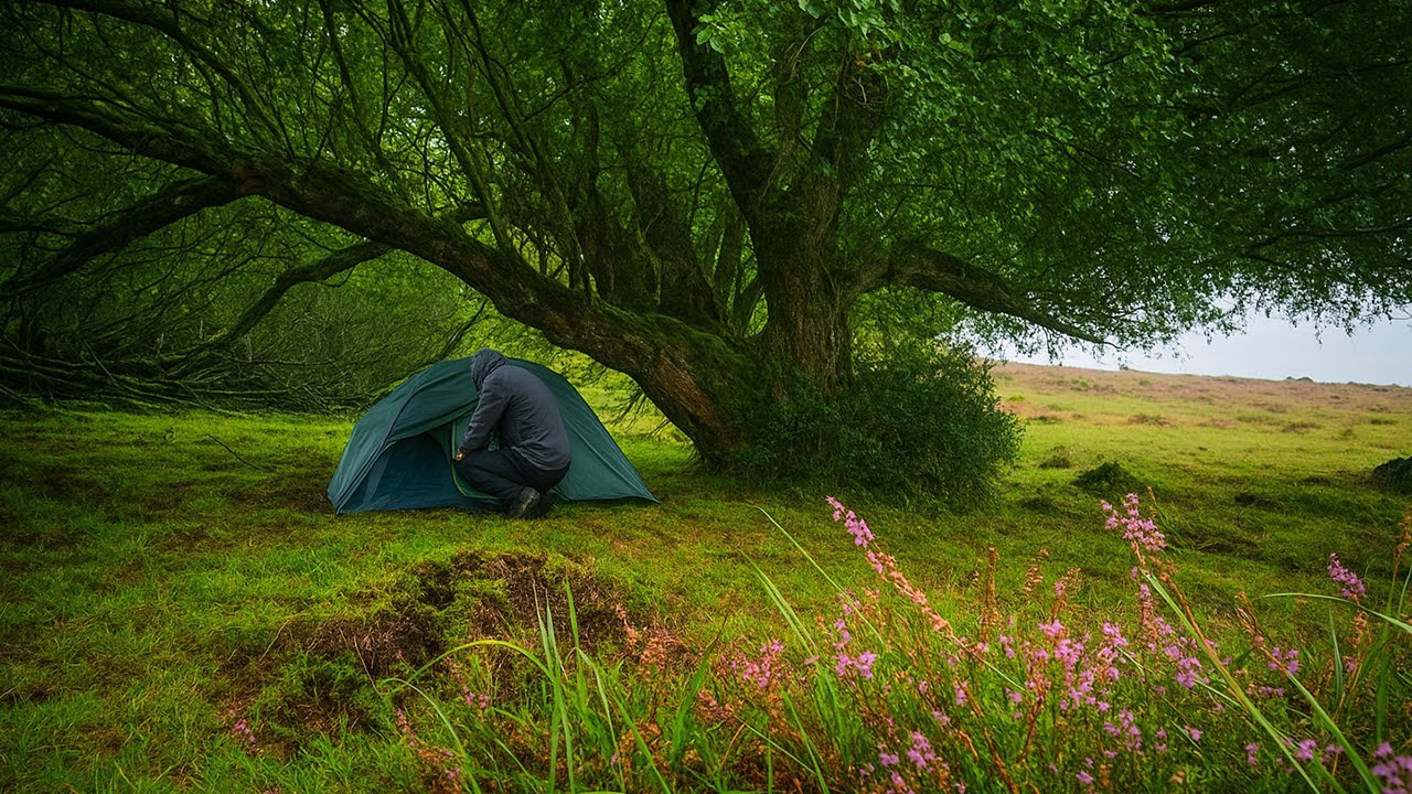 Overnight Forest Camping in the Rain - Shelter Under an Old Oak Tree