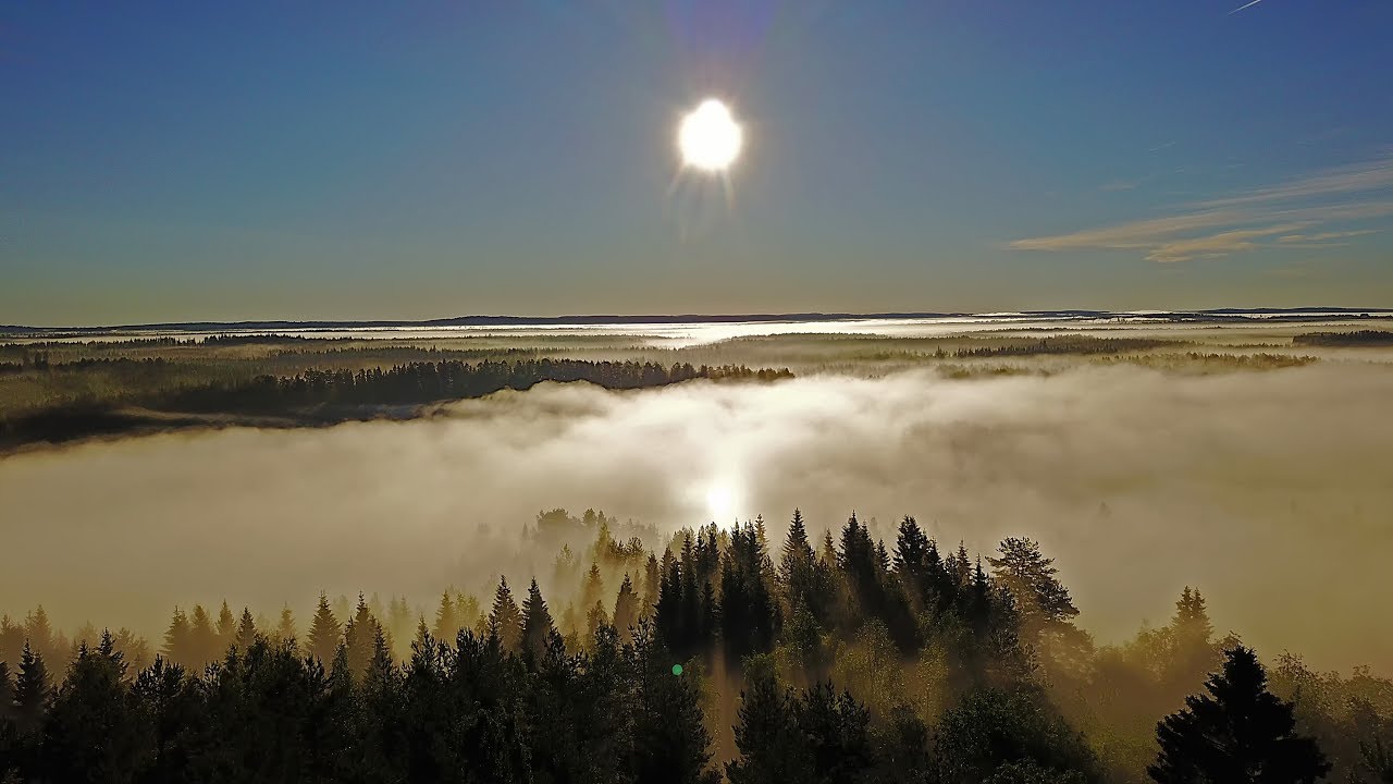 Loma-Kitsi