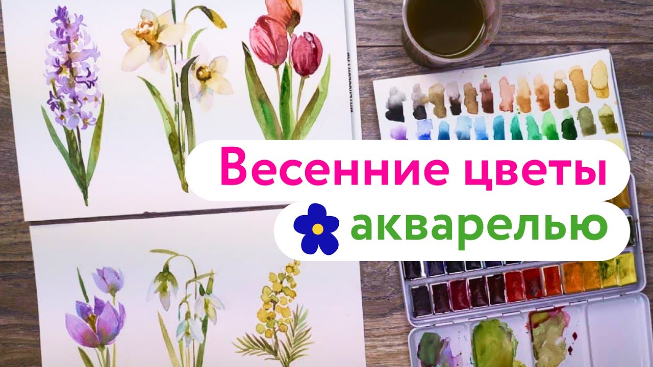 Весенние Цветы Акварелью | Мастер-класс Леонардо
