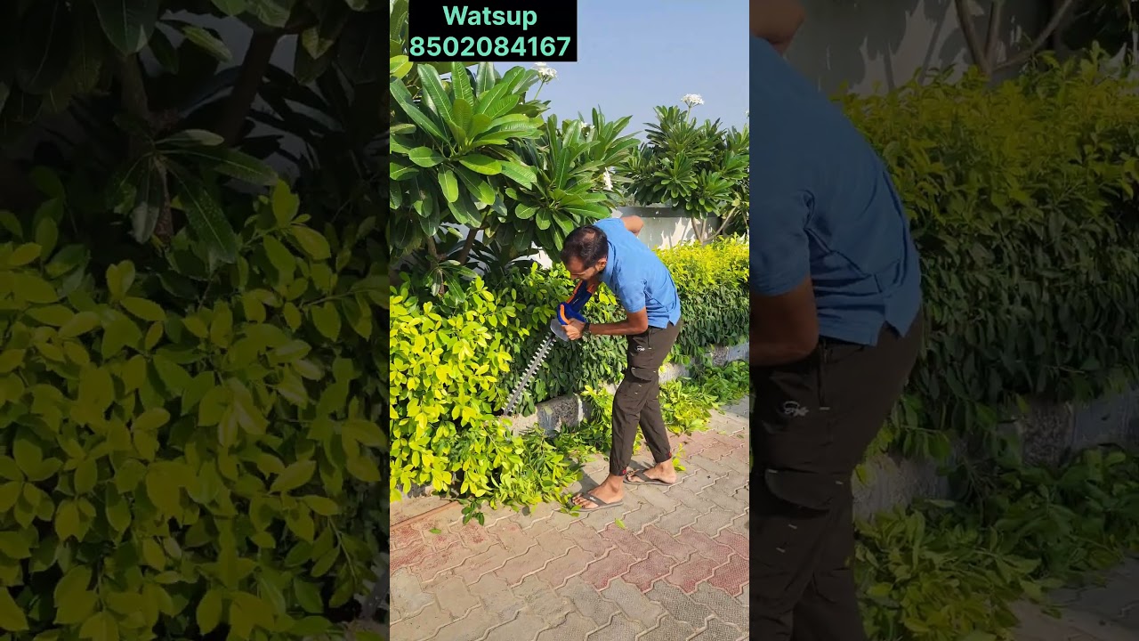 Wadfow hagde trimmer for garden use !! Live demo 2025