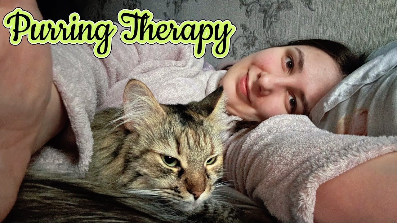 Relaxing Music for Cats & Humans: Peaceful Piano, Delta Waves, and Continuous Kitty Purr 🐱