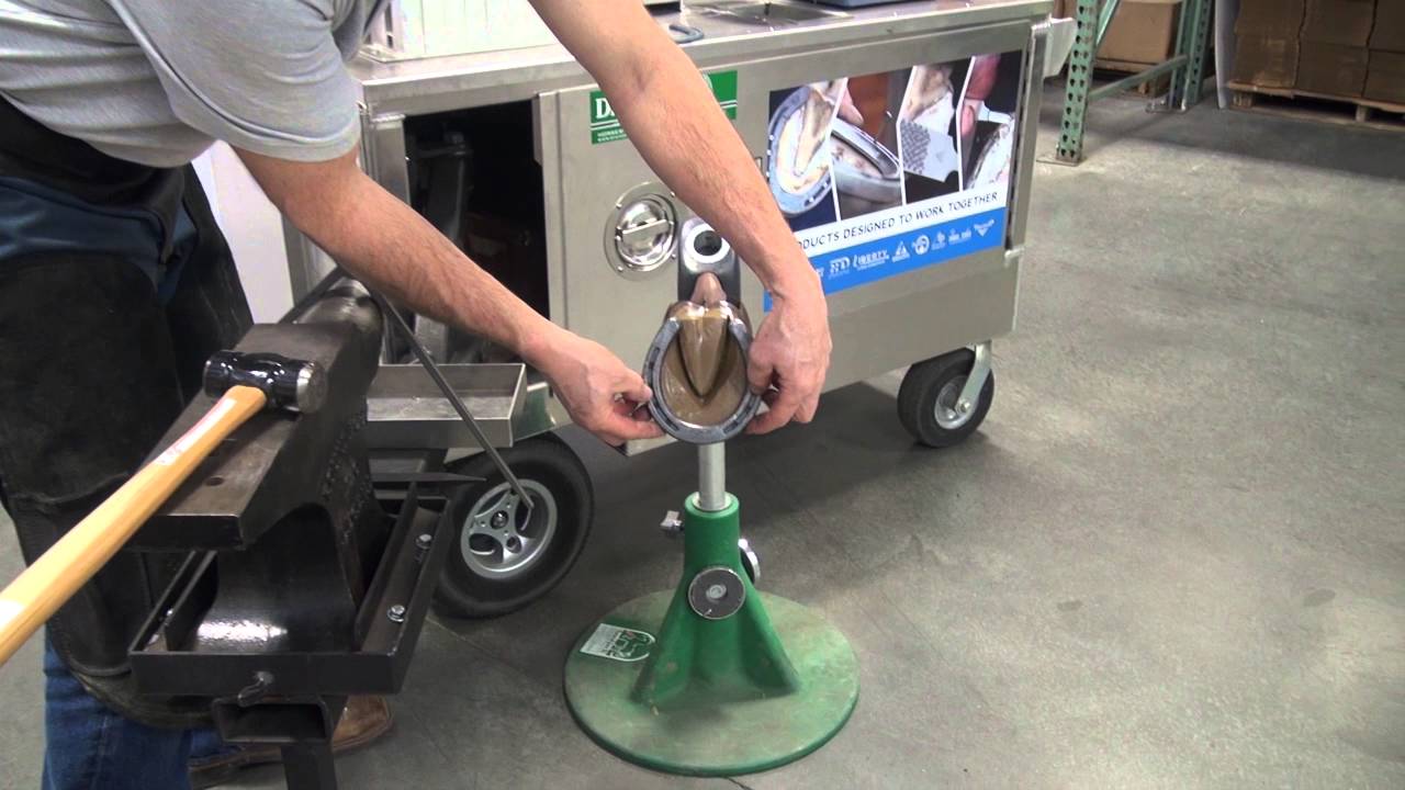 Diamond Farrier Co Info Series: Horseshoe Application - Cold Shoeing Method