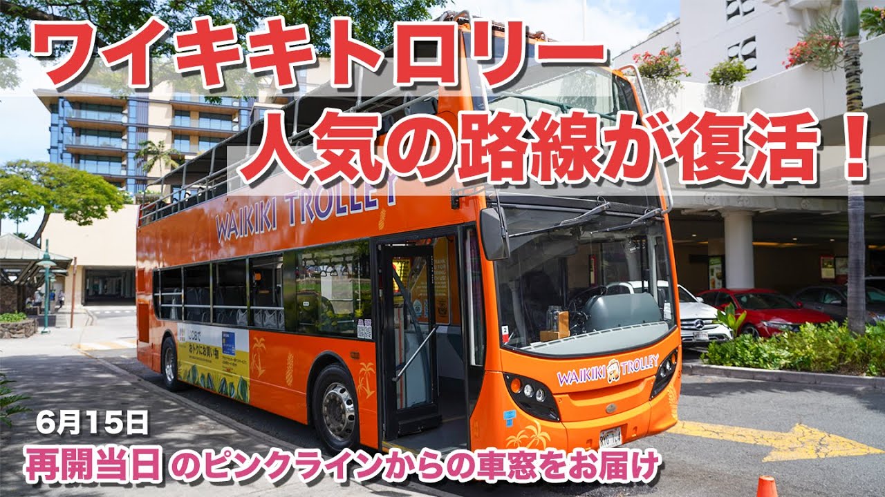 ハワイの今【ワイキキトロリー】人気ラインが復活！アラモアナセンター行きピンクラインに乗車。陽気なドライバーさんのアナウンスや、ワイキキビーチ、クヒオ通りなどハワイの景色をお楽しみください