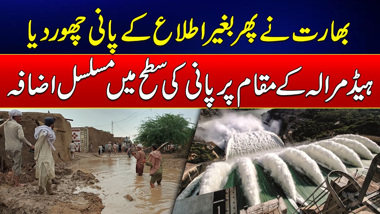 Chenab River Water Flow Rises After Water Release From India, Flood Alert Issued | News Update