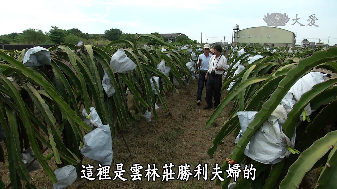 【小人物大英雄】20140922 - 農民的老師蔡十八
