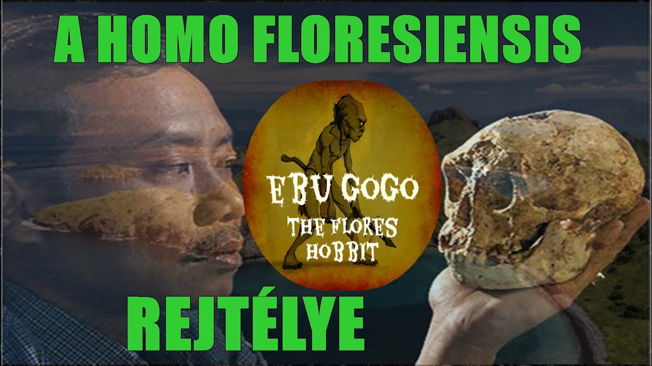 AZ INDONÉZ HOBBITOK REJTÉLYE