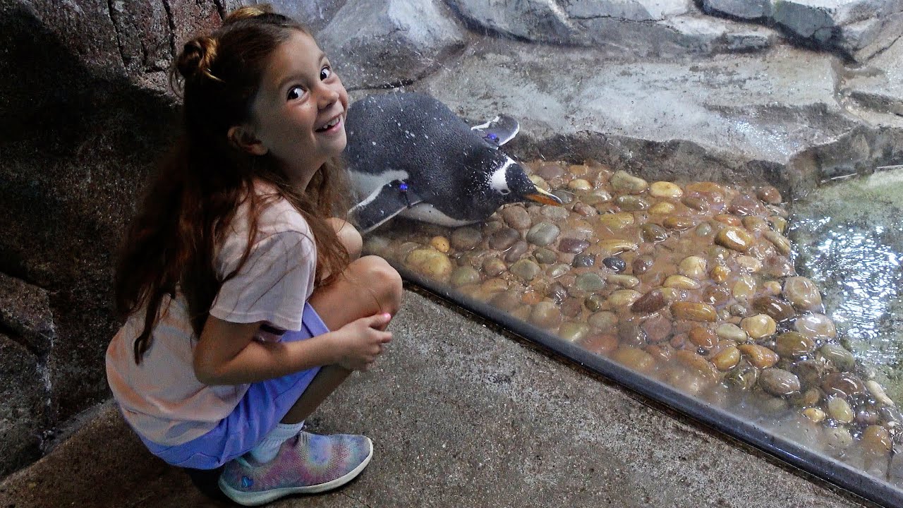 Day At The Detroit Zoo
