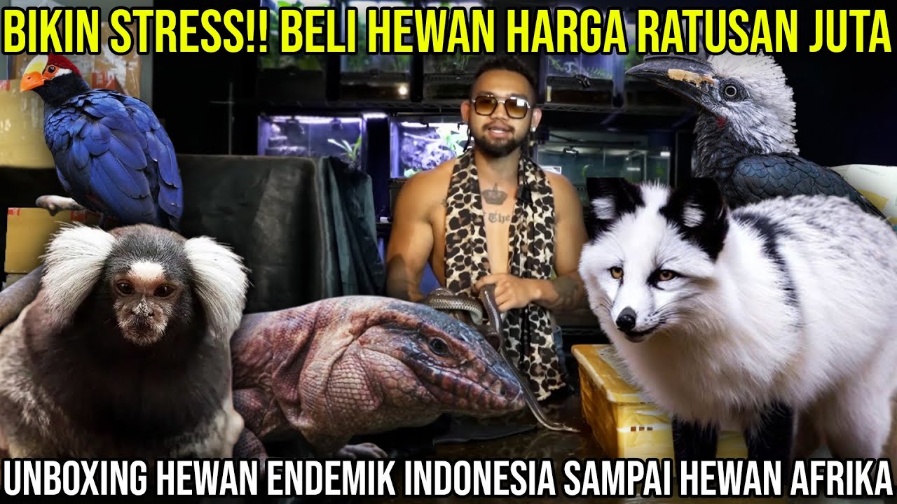 BIKIN STRESS!! BELI HEWAN HARGA RATUSAN JUTA || UNBOXING HEWAN ENDEMIK INDONESIA SAMPAI HEWAN AFRIKA