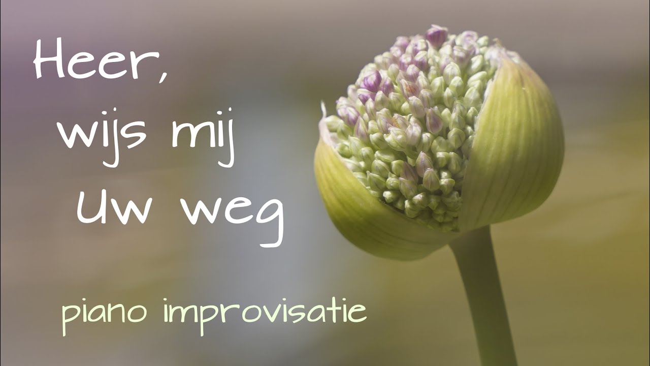 Heer wijs mij Uw weg - Piano improvisatie