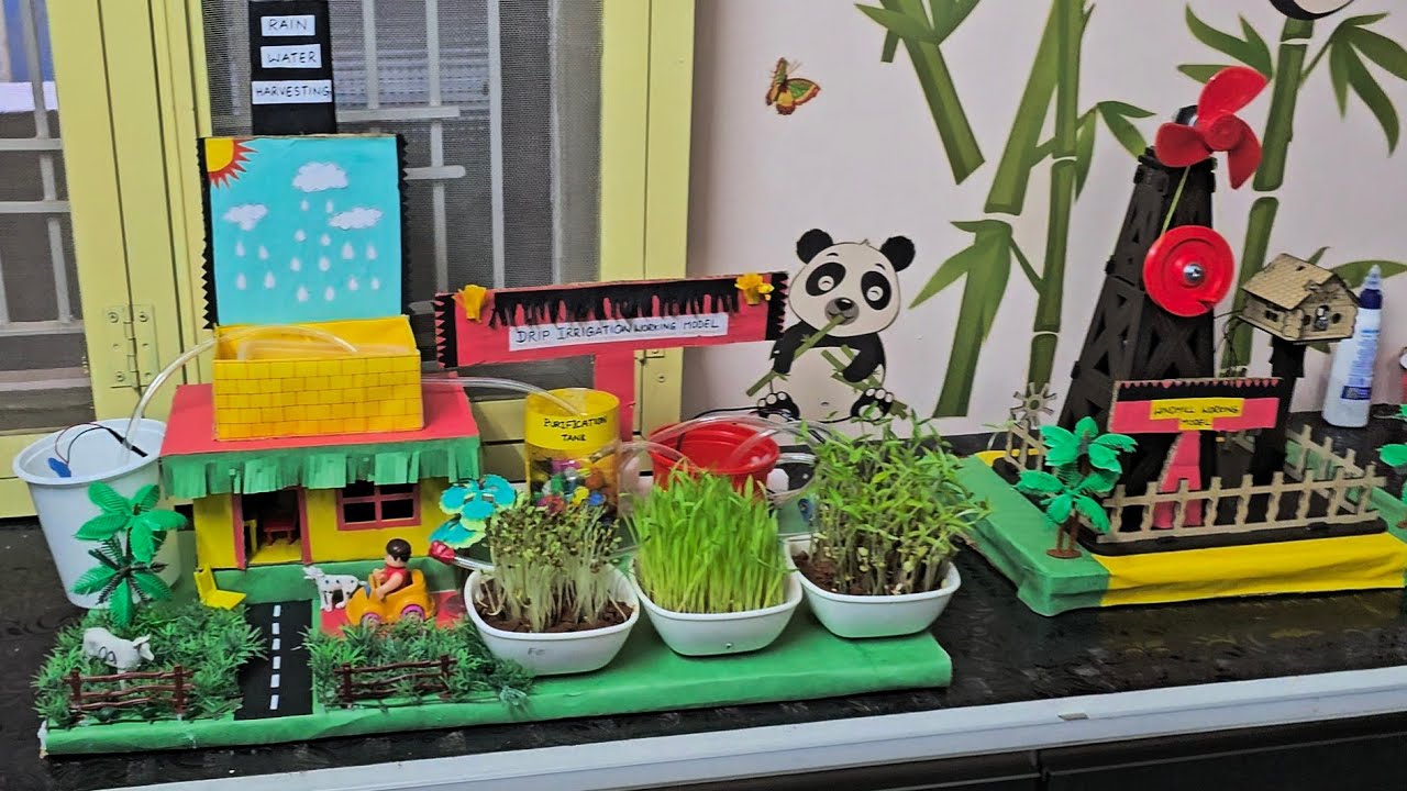 Science Fair Exhibition in Siddartha School CMR palli 2025
