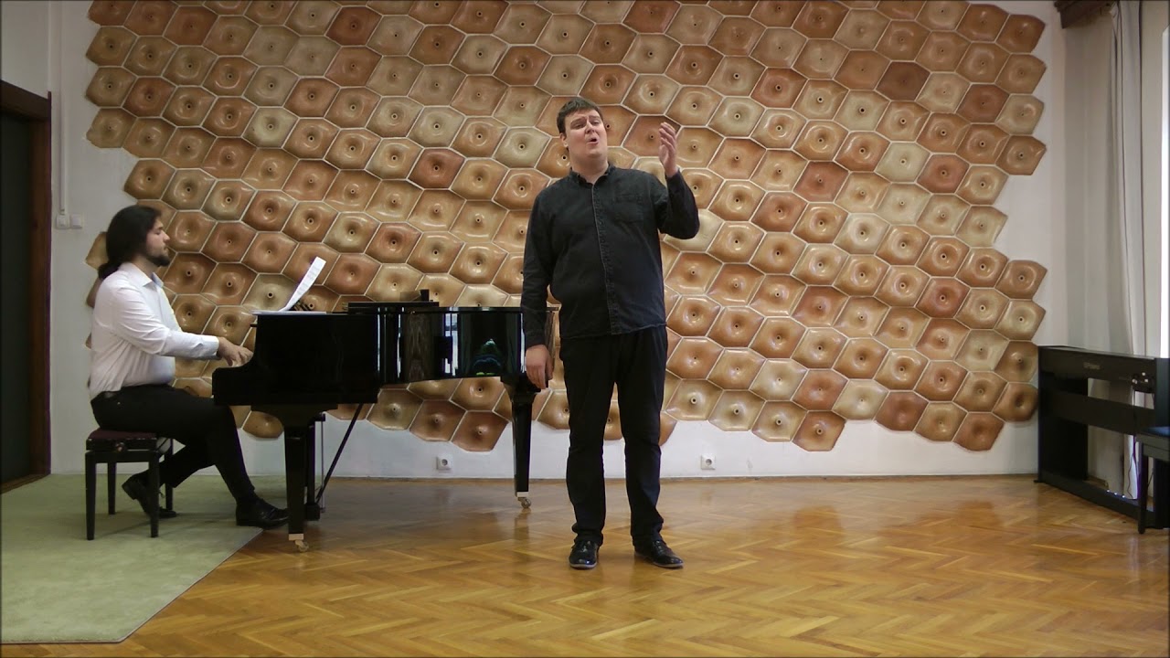 'Til I hear you sing (Zsbán Máté)