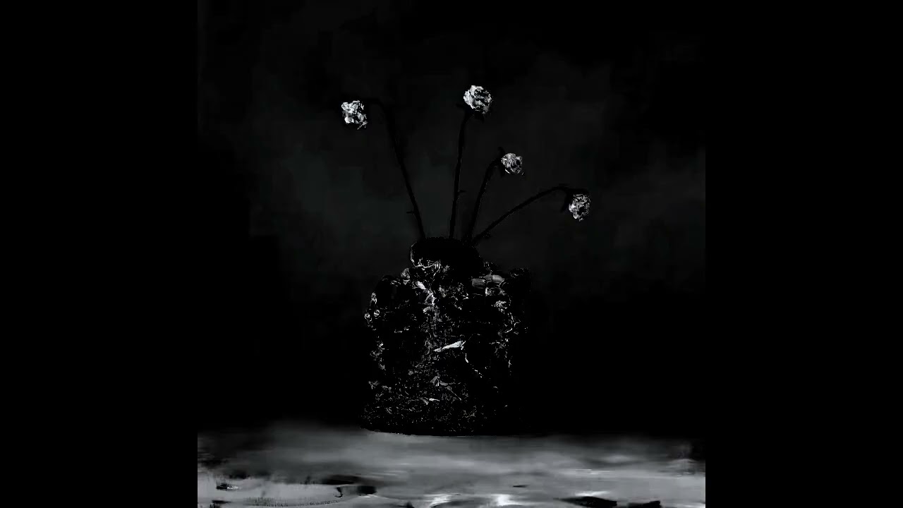 C3 - What does it matter how my heart breaks(super slowed + reverb) The Caretaker