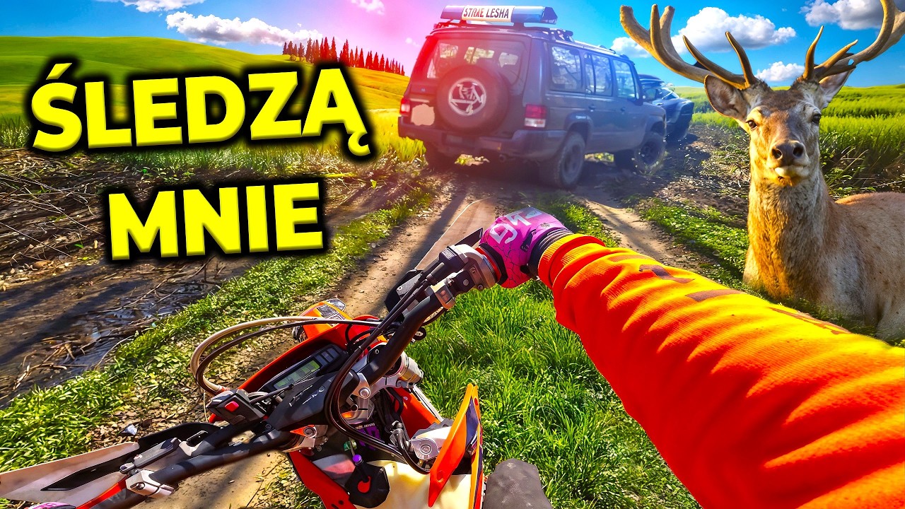 Wydaje się to PODEJRZANE