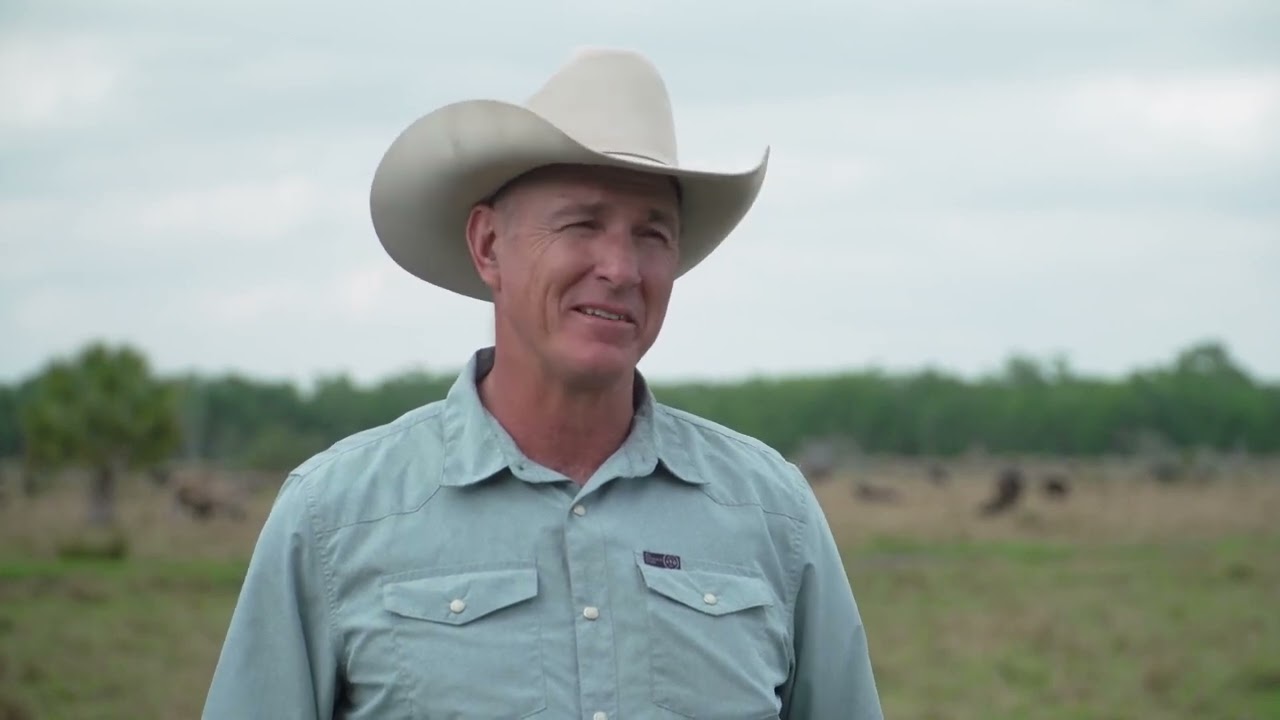 Kempfer Cattle Co. — продолжая давнюю традицию разведения крупного рогатого скота во Флориде