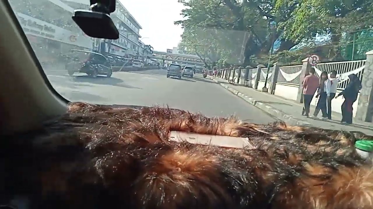 Jalan-jalan Santai di pagi Minggu yang cerah di Kota Medan, Hallo warga kota Medan