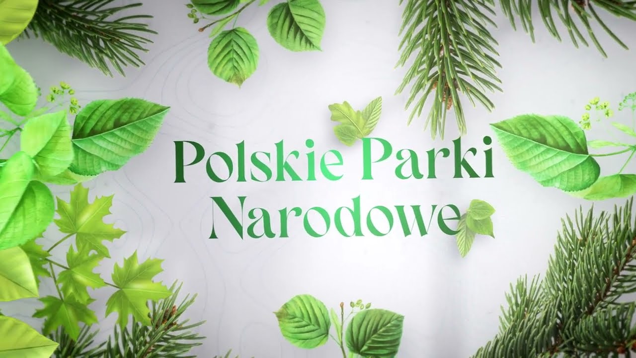 Białowieski Park Narodowy