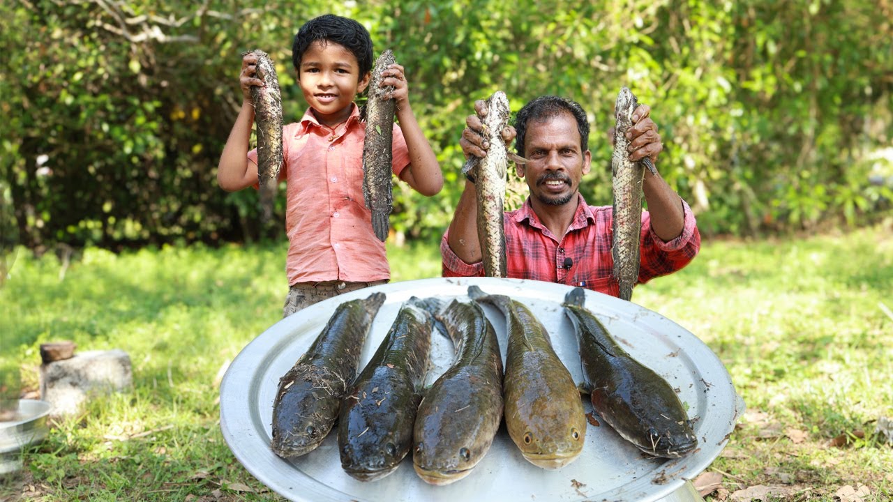 തനി നാടൻ വരാൽ കറി | Snake head fish curry | Kerala style varal curry