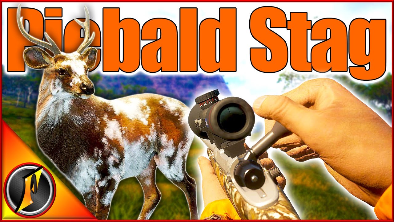 Casual Hunt on Emerald Coast Brings a PIEBALD Sambar Stag! | theHunter Call of the Wild