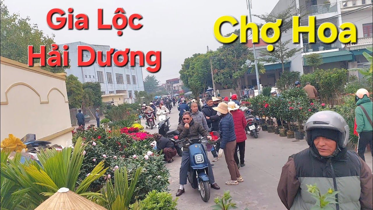 Chợ hoa tết Gia Lộc Hải Dương nhộn nhịp cuối năm