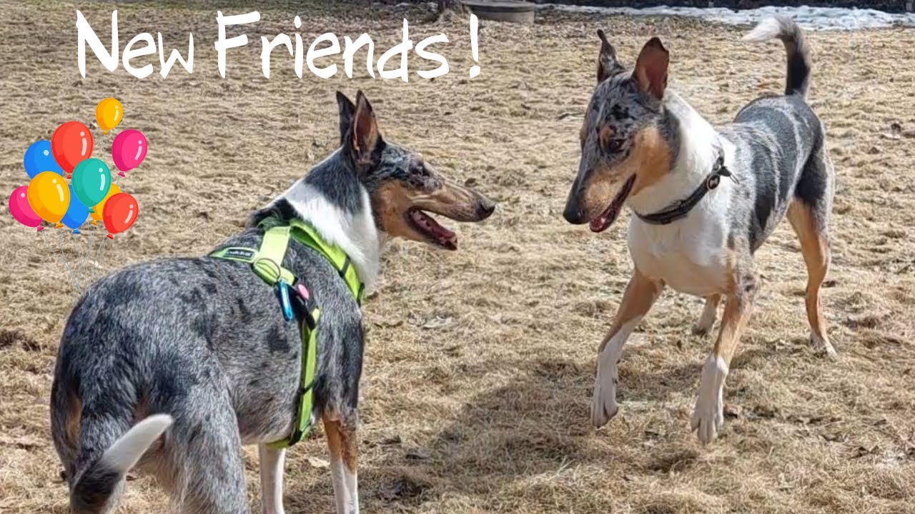 Isla makes new friends =)